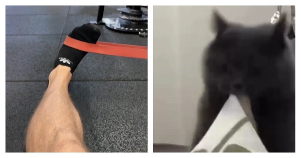 Неравная битва
Неравная битва