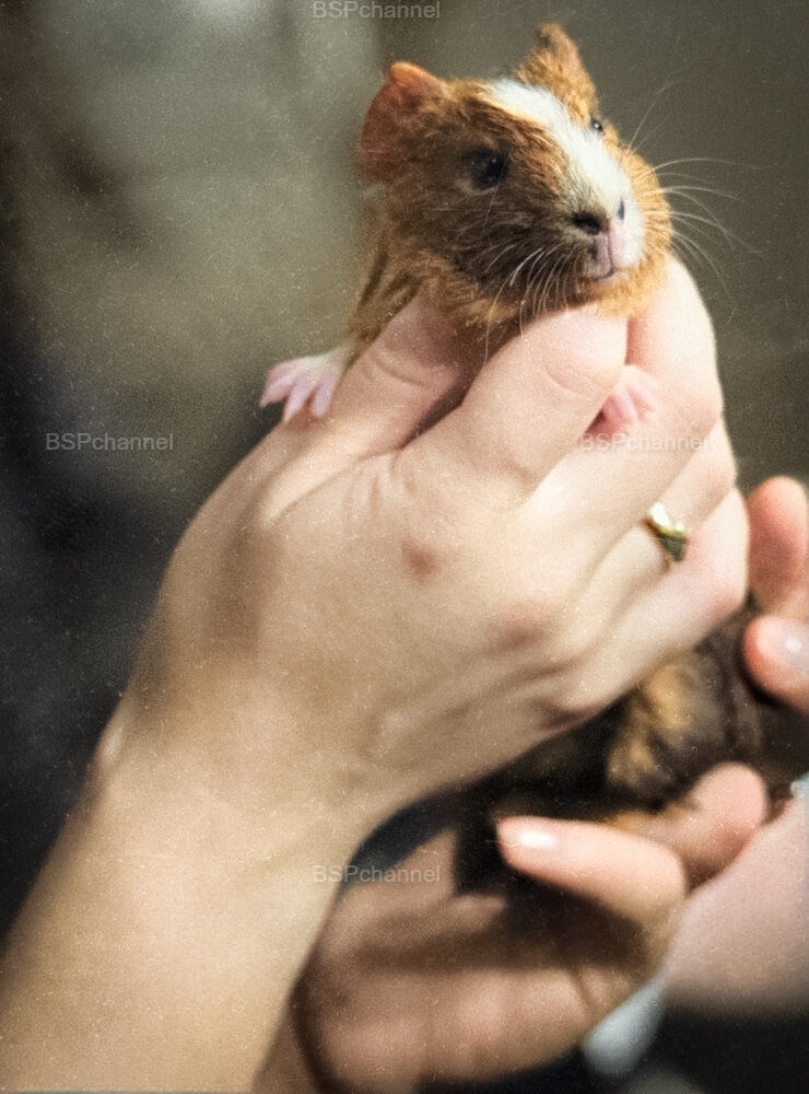 Удивительные и забавные фотографии с животными
Удивительные и забавные фотографии с животными