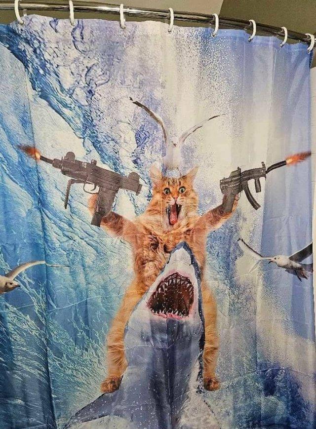 Подборка прикольных фото №3913