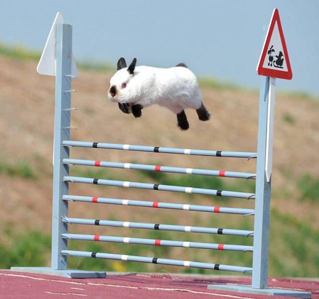 Подборка прикольных фото №3914