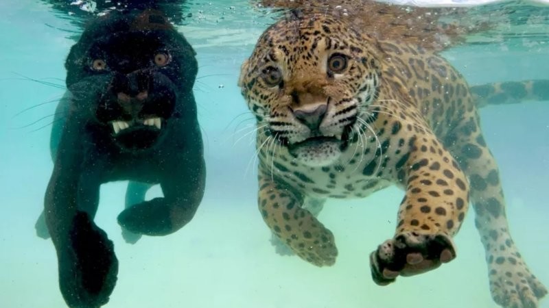 
        25&nbsp;вдохновляющих кадров, от&nbsp;которых перехватывает дыхание    