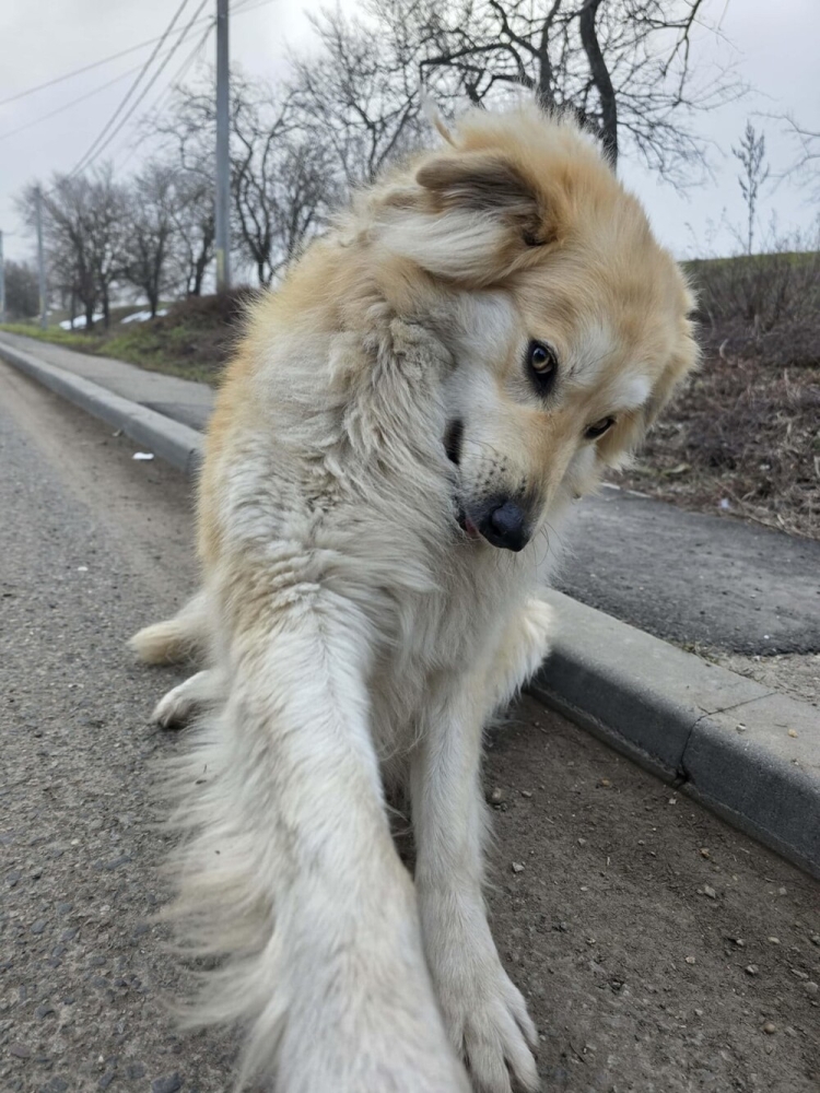 
        30&nbsp;снимков, доказывающих, что&nbsp;мимимишность спасёт мир    