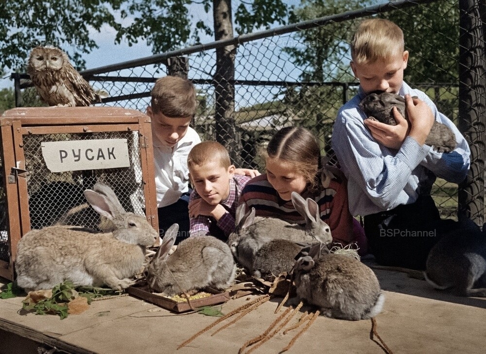 Удивительные и забавные фотографии с животными
Удивительные и забавные фотографии с животными
