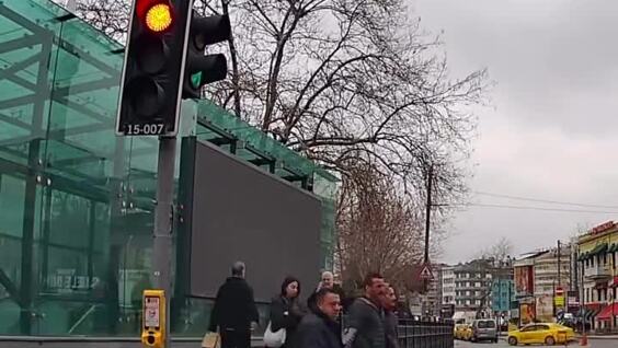 
        Пёс&nbsp;несколько минут мешал автомобилю проехать    