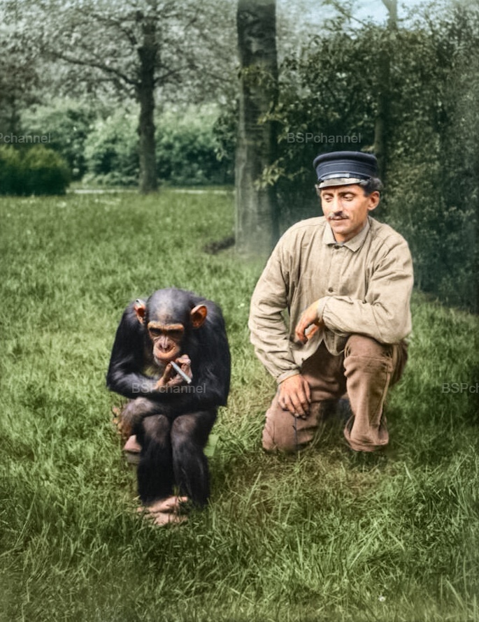 Удивительные и забавные фотографии с животными
Удивительные и забавные фотографии с животными