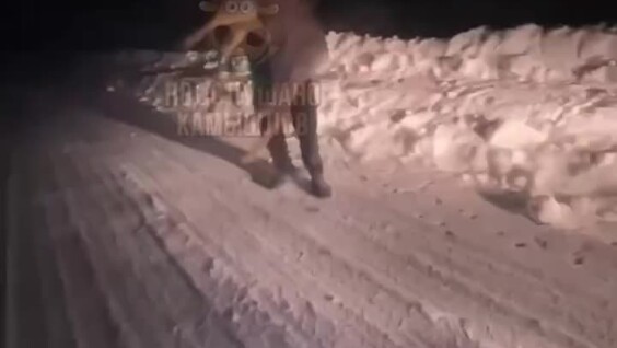 
        Сын&nbsp;замглавы свердловского поселка швырнул косулёнка об&nbsp;асфальт    