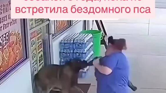 На женщину, идентифицирующую себя как собаку, напал настоящий пёс
На женщину, идентифицирующую себя как собаку, напал настоящий пёс