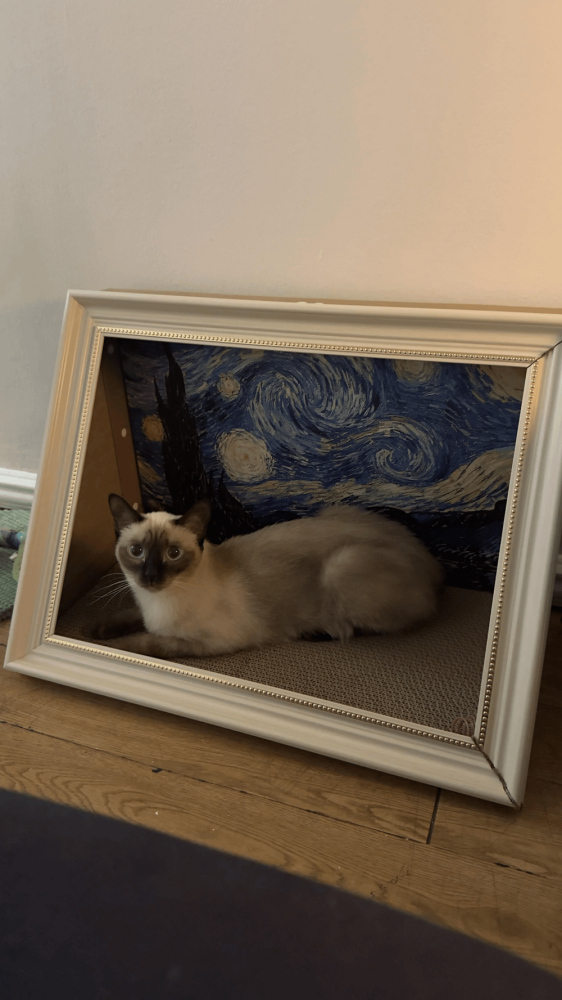 20 примеров обычной реальности, трансформирующейся в иллюзию
20 примеров обычной реальности, трансформирующейся в иллюзию