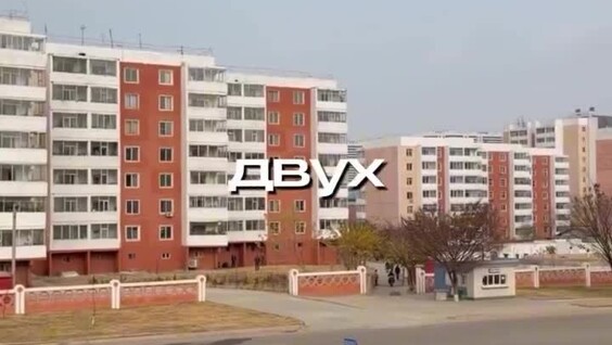 Правила жизни в Северной Корее, которые удивили путешественников
Правила жизни в Северной Корее, которые удивили путешественников