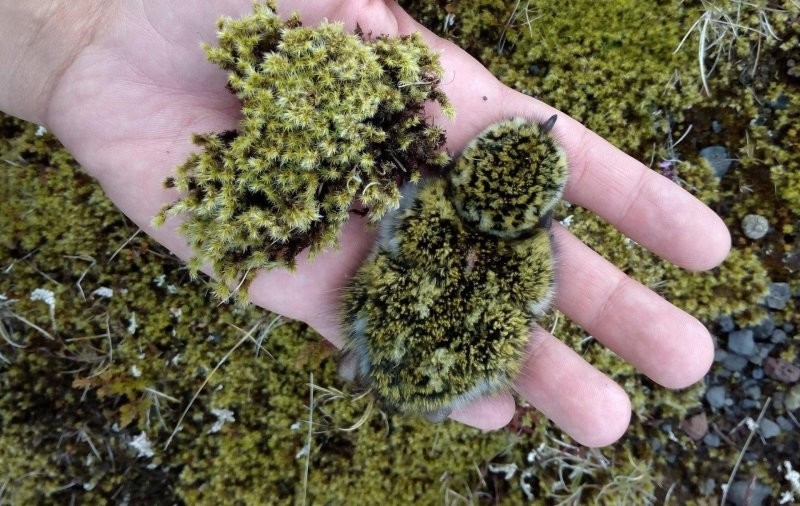 
        23&nbsp;веских причины заново влюбиться в&nbsp;эту&nbsp;планету    