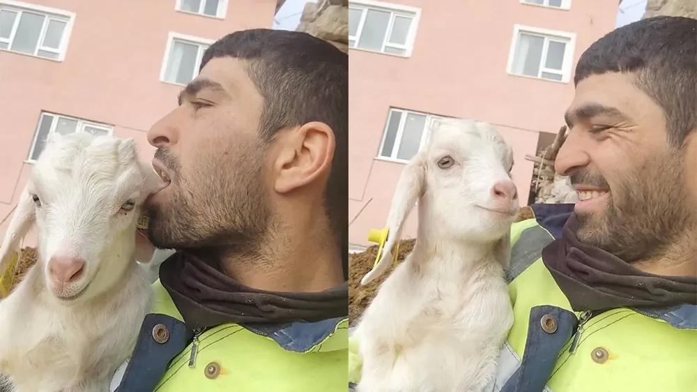 
        Мужчина в&nbsp;шутку &laquo;кусает&raquo; козу за&nbsp;ухо, но&nbsp;та&nbsp;реагирует криком    