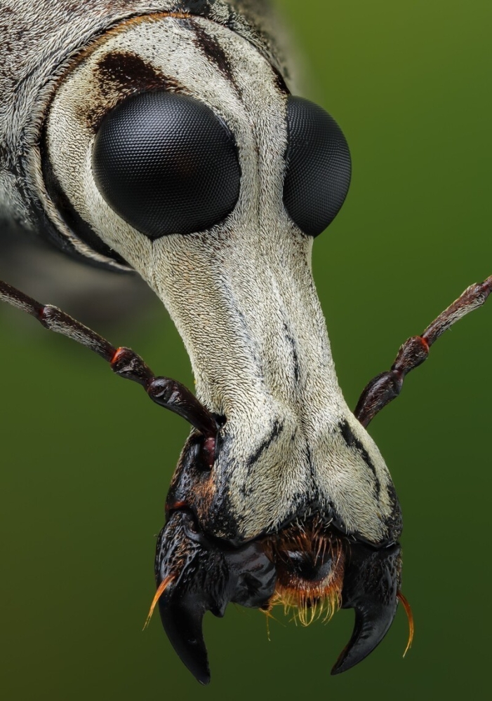 
        23&nbsp;веских причины заново влюбиться в&nbsp;эту&nbsp;планету    