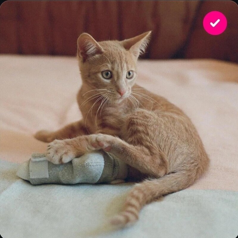 20 примеров обычной реальности, трансформирующейся в иллюзию
20 примеров обычной реальности, трансформирующейся в иллюзию