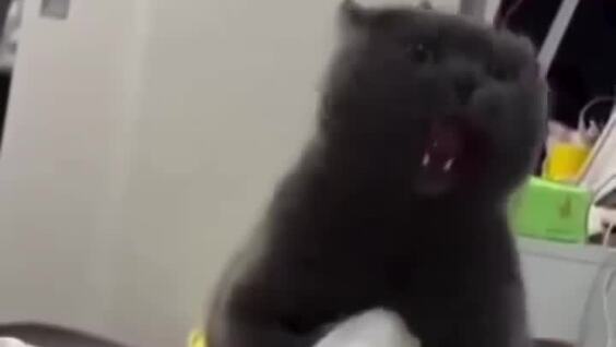 Неравная битва
Неравная битва