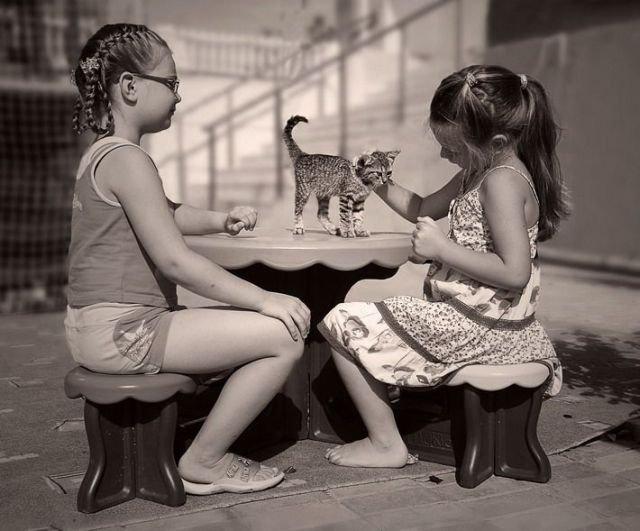 Подборка прикольных фото №3900