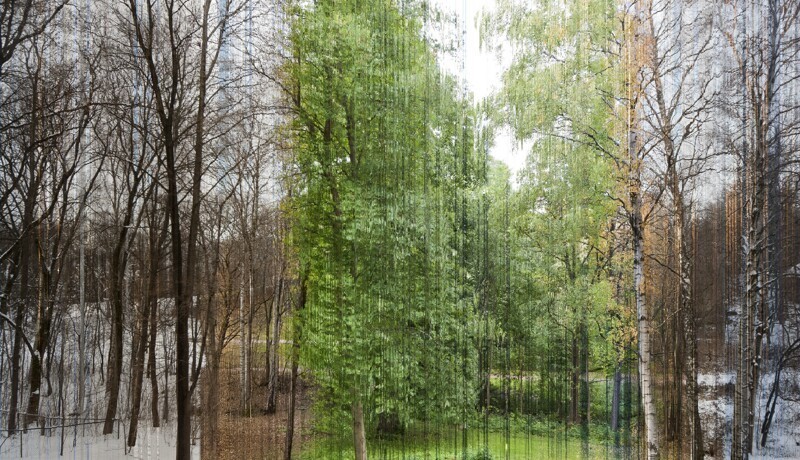 
        25&nbsp;вдохновляющих кадров, от&nbsp;которых перехватывает дыхание    