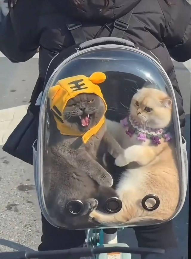 Подборка прикольных фото №3917