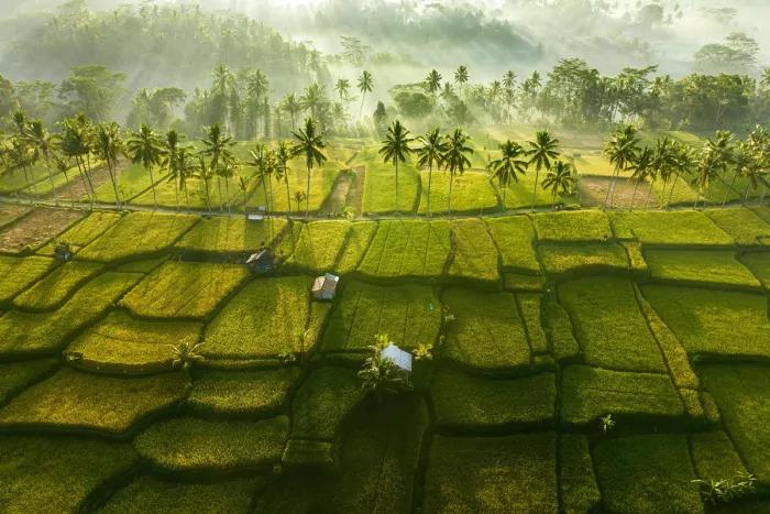 Подборка прикольных фото №3905