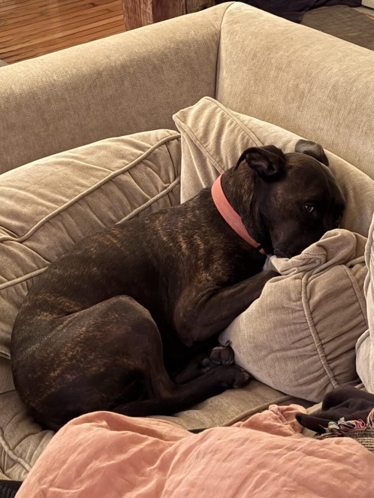 30 очаровательных пакостников, которые знают толк в дизайне и перепланировке
30 очаровательных пакостников, которые знают толк в дизайне и перепланировке