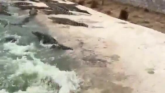 
        Работа для&nbsp;людей со&nbsp;стальными нервами    