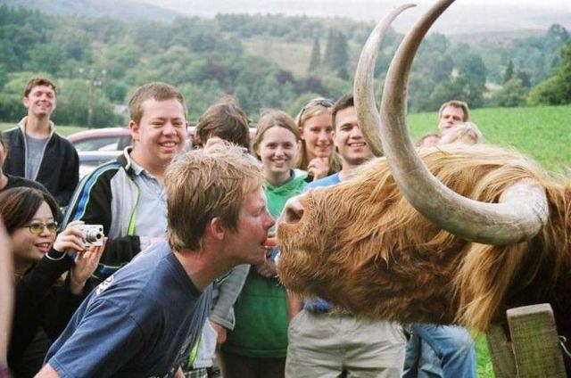 Подборка прикольных фото №3910