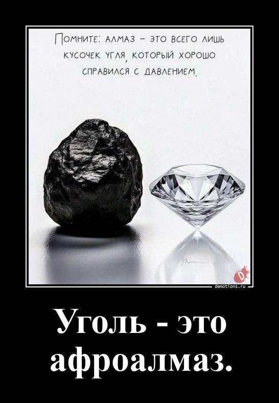 
			Демотиваторы №3788 (20 фото)