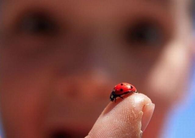 Подборка прикольных фото №3906