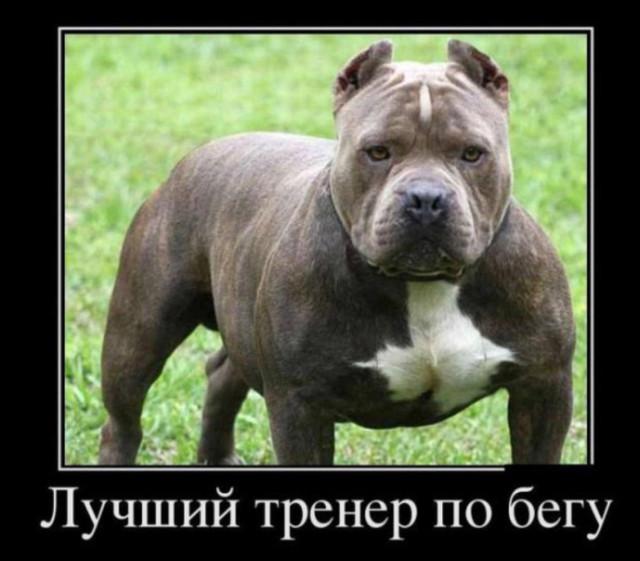 
			Демотиваторы №3791 (20 фото)