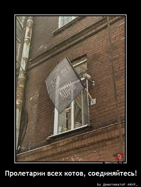 
			Демотиваторы №3790 (20 фото)