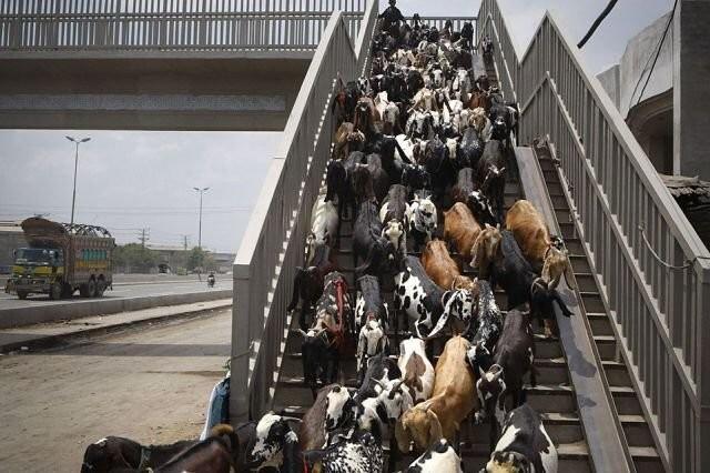 Подборка прикольных фото №3906