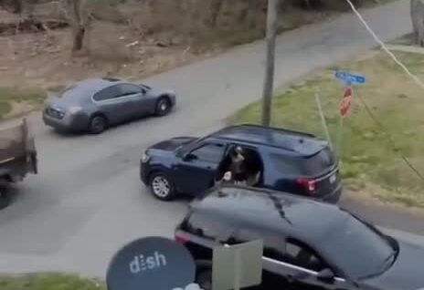 Американка сдала рабочих в миграционную службу, чтобы не платить им за работу
Американка сдала рабочих в миграционную службу, чтобы не платить им за работу