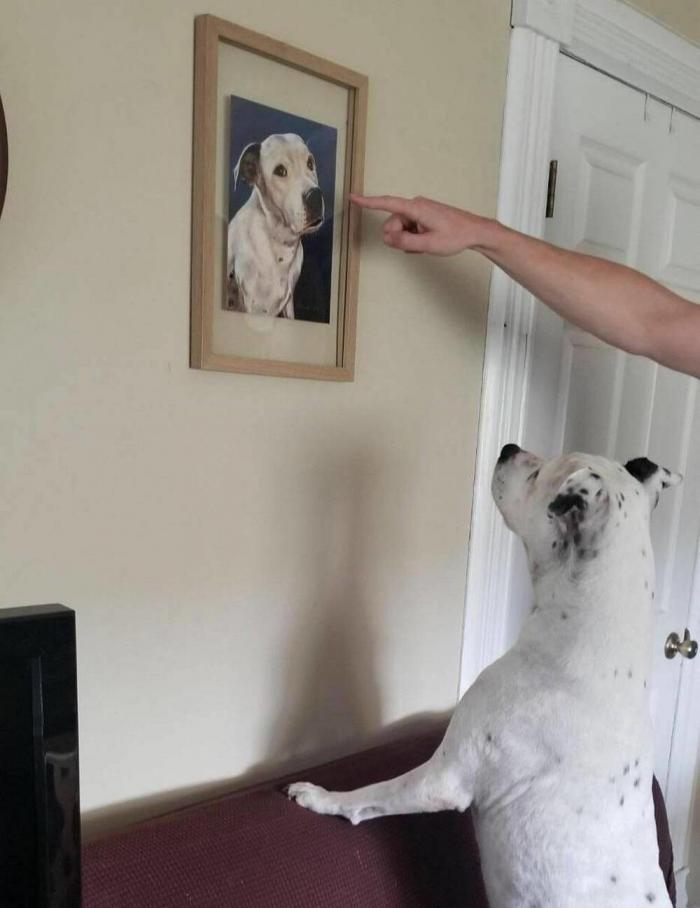 Подборка прикольных фото №3917