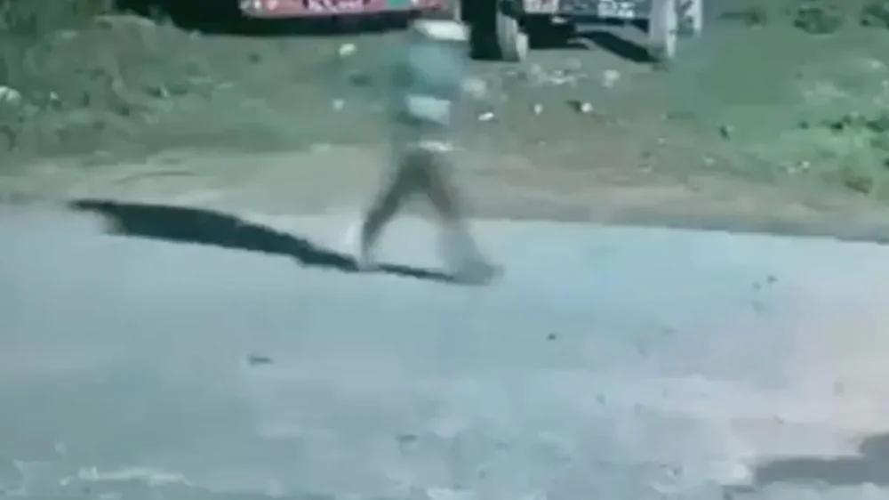 Пробежка обернулась паникой: мужчине пришлось спасаться бегством
Пробежка обернулась паникой: мужчине пришлось спасаться бегством