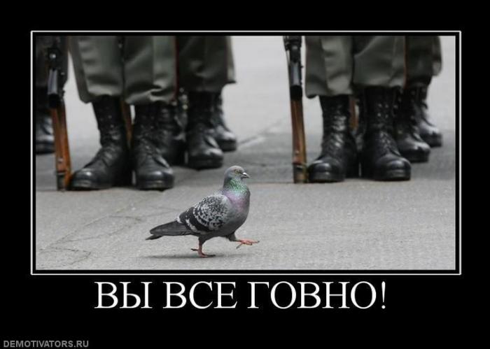 
			Демотиваторы №3790 (20 фото)