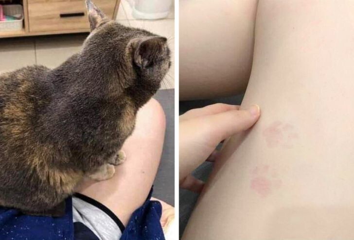 20+ моделей, фотогеничности которых можно только позавидовать
20+ моделей, фотогеничности которых можно только позавидовать