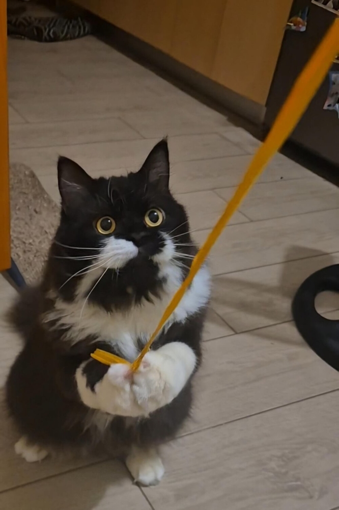 
        30&nbsp;снимков, доказывающих, что&nbsp;мимимишность спасёт мир    