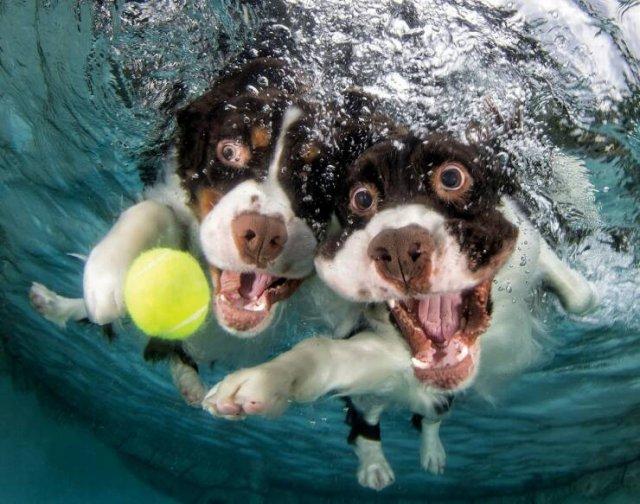 Подборка прикольных фото №3912