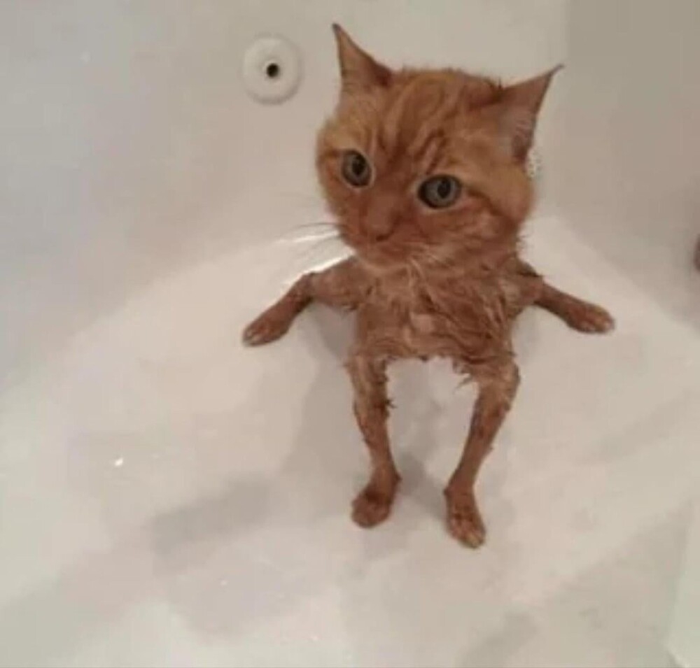 20 моментов, демонстрирующих шутки реальности
20 моментов, демонстрирующих шутки реальности