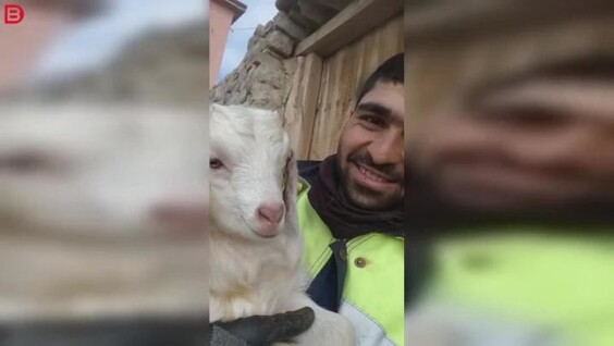 
        Мужчина в&nbsp;шутку &laquo;кусает&raquo; козу за&nbsp;ухо, но&nbsp;та&nbsp;реагирует криком    