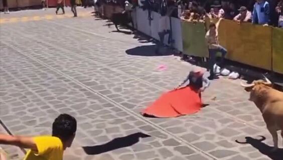 В Мексике тореадора сбил второй бык во время представления
В Мексике тореадора сбил второй бык во время представления