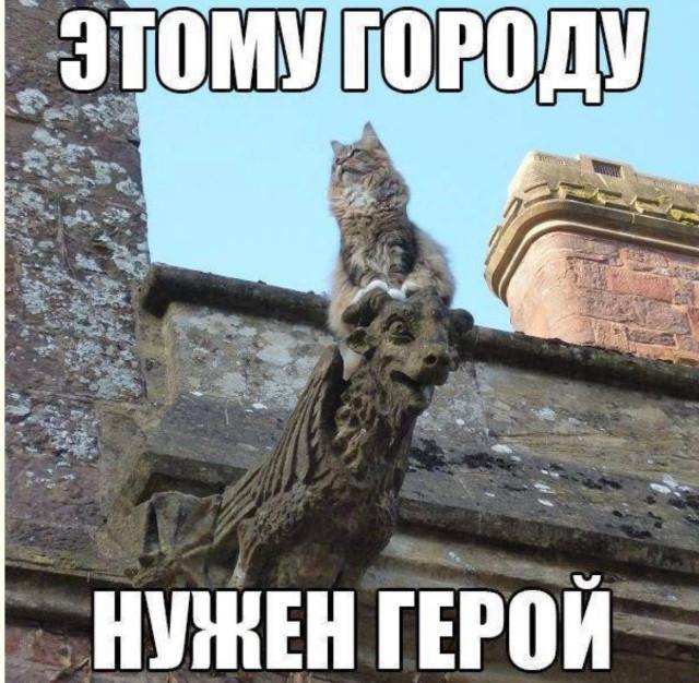 Подборка прикольных фото №3918