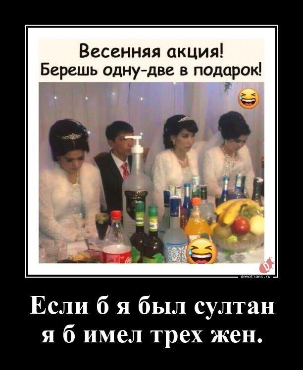 
			Демотиваторы №3788 (20 фото)