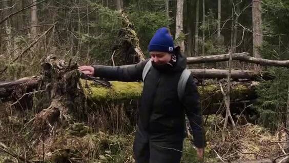 Небольшая прогулка на болото
Небольшая прогулка на болото