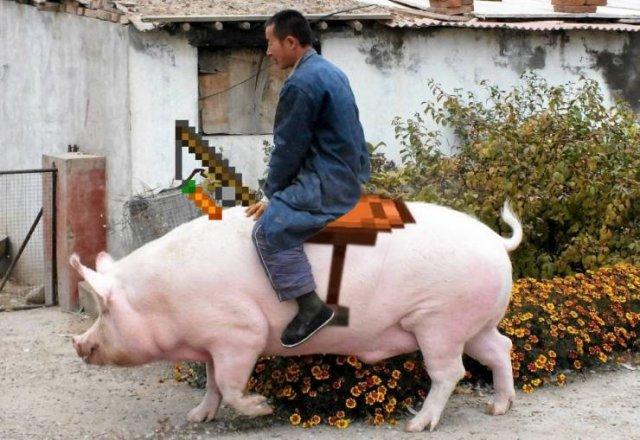 Подборка прикольных фото №3914