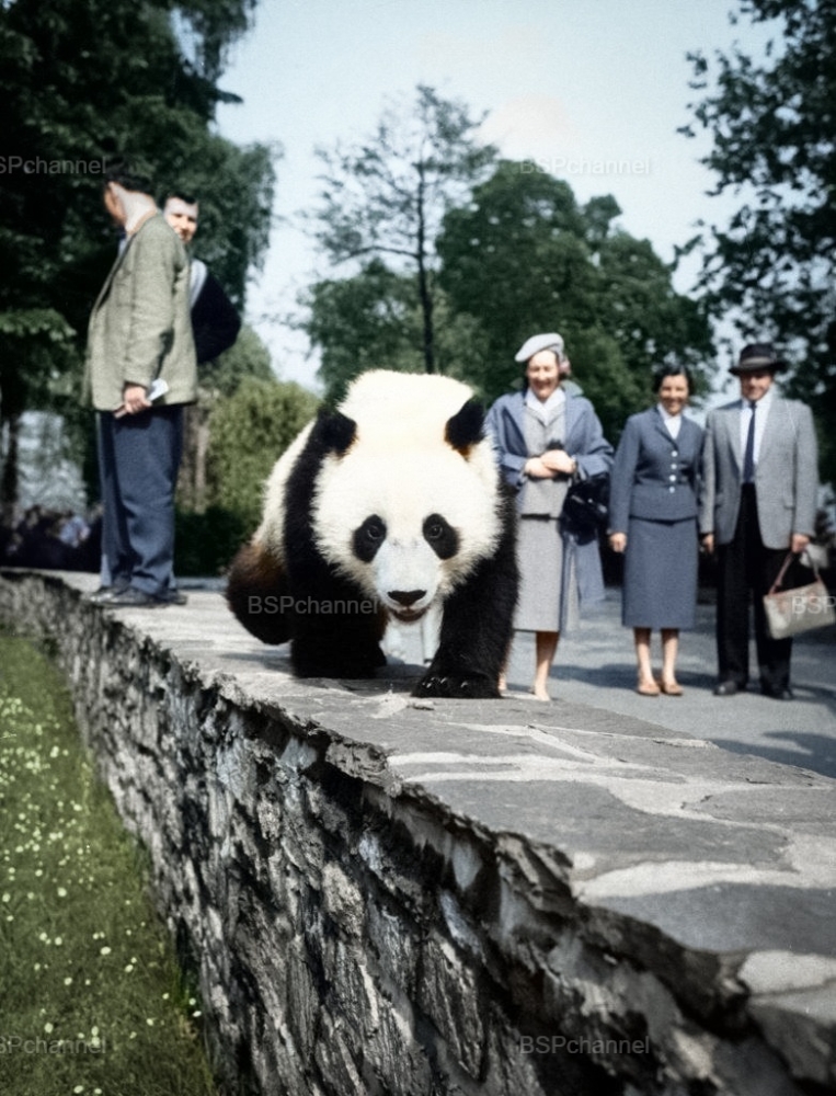 Удивительные и забавные фотографии с животными
Удивительные и забавные фотографии с животными