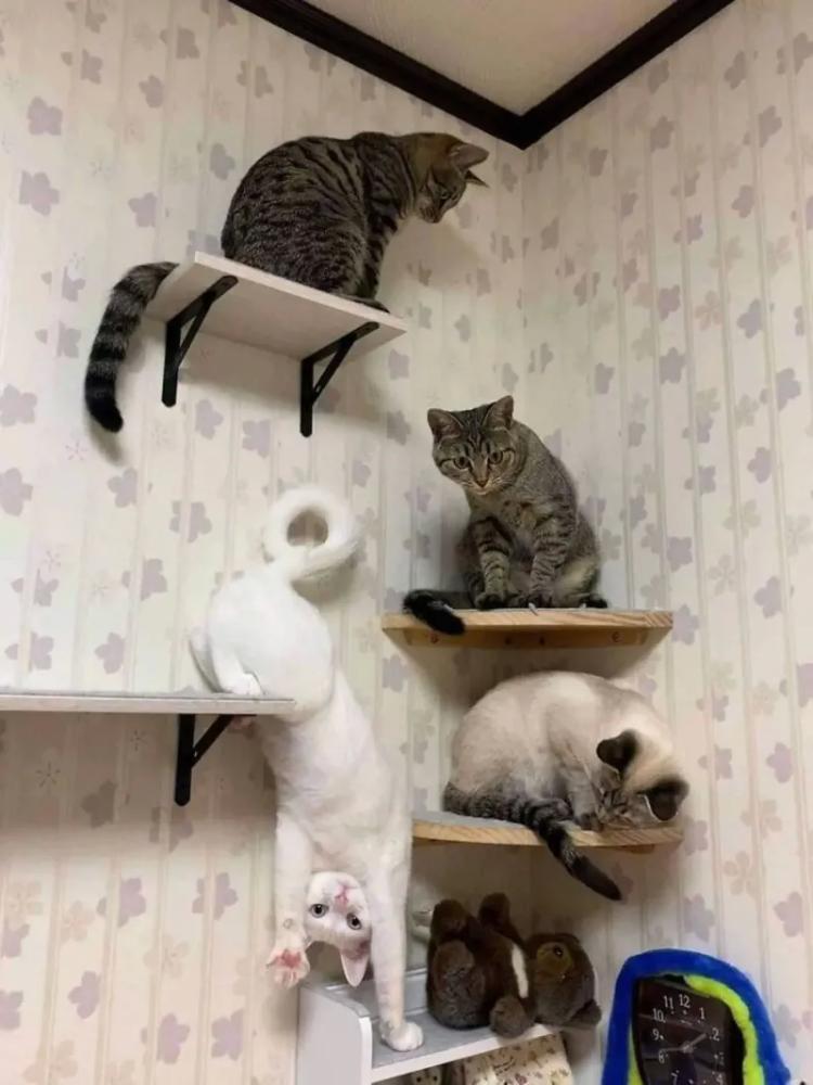 20+ моделей, фотогеничности которых можно только позавидовать
20+ моделей, фотогеничности которых можно только позавидовать