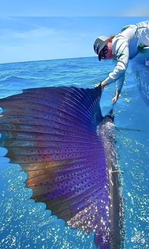 
        23&nbsp;веских причины заново влюбиться в&nbsp;эту&nbsp;планету    