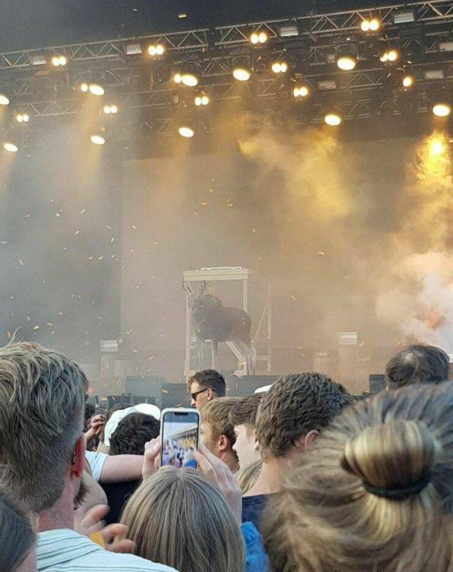 Подборка прикольных фото №3912