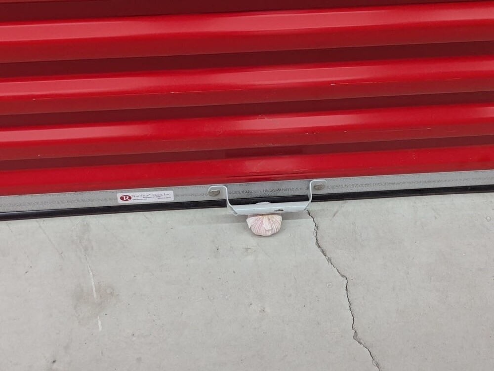 
        30&nbsp;кадров, которые заставят вас&nbsp;протереть глаза    