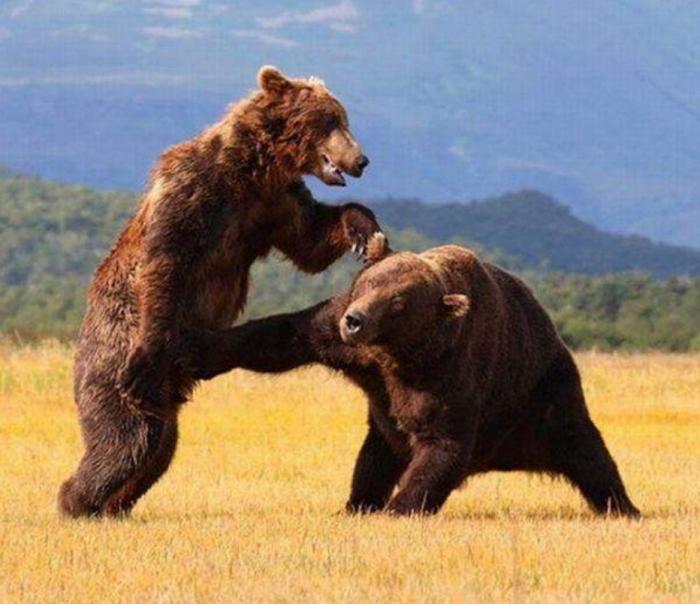 Подборка прикольных фото №3930